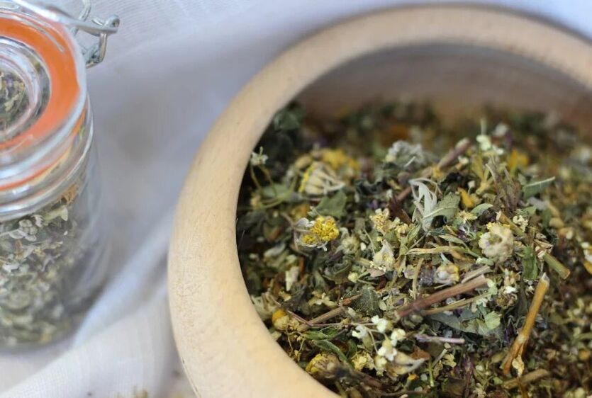 medicinal plants for the treatment of fungi
